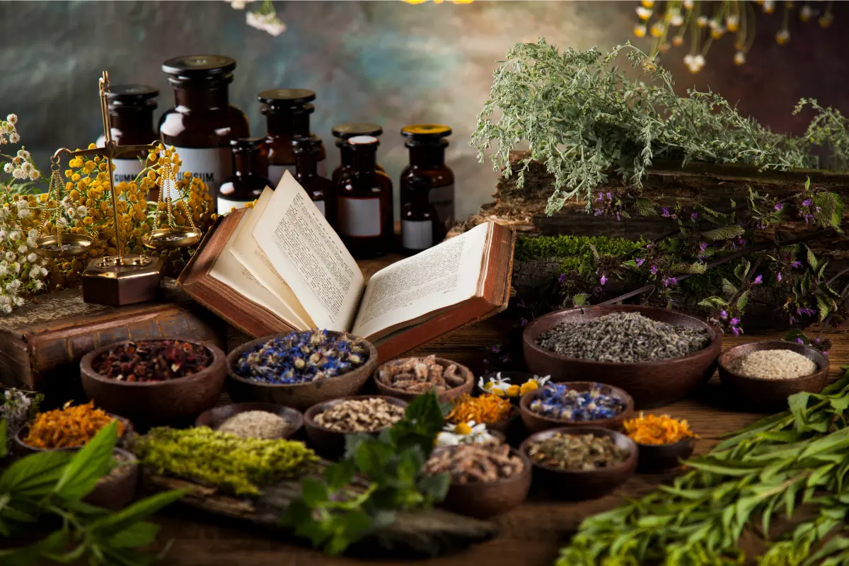 paramonatural_4 Páramo - Recursos y Terapias Naturales